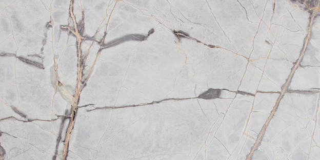 Picasso Grey Marble Slab