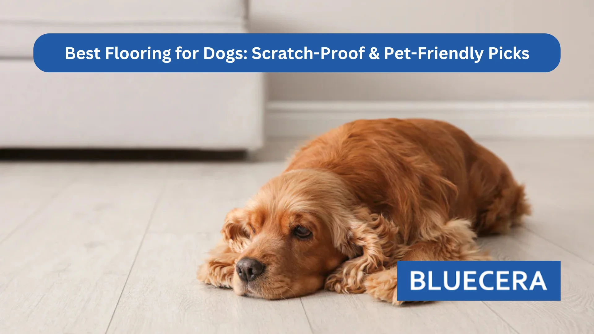 Best Flooring For Dogs: Scratch-Proof & Pet-Friendly Picks