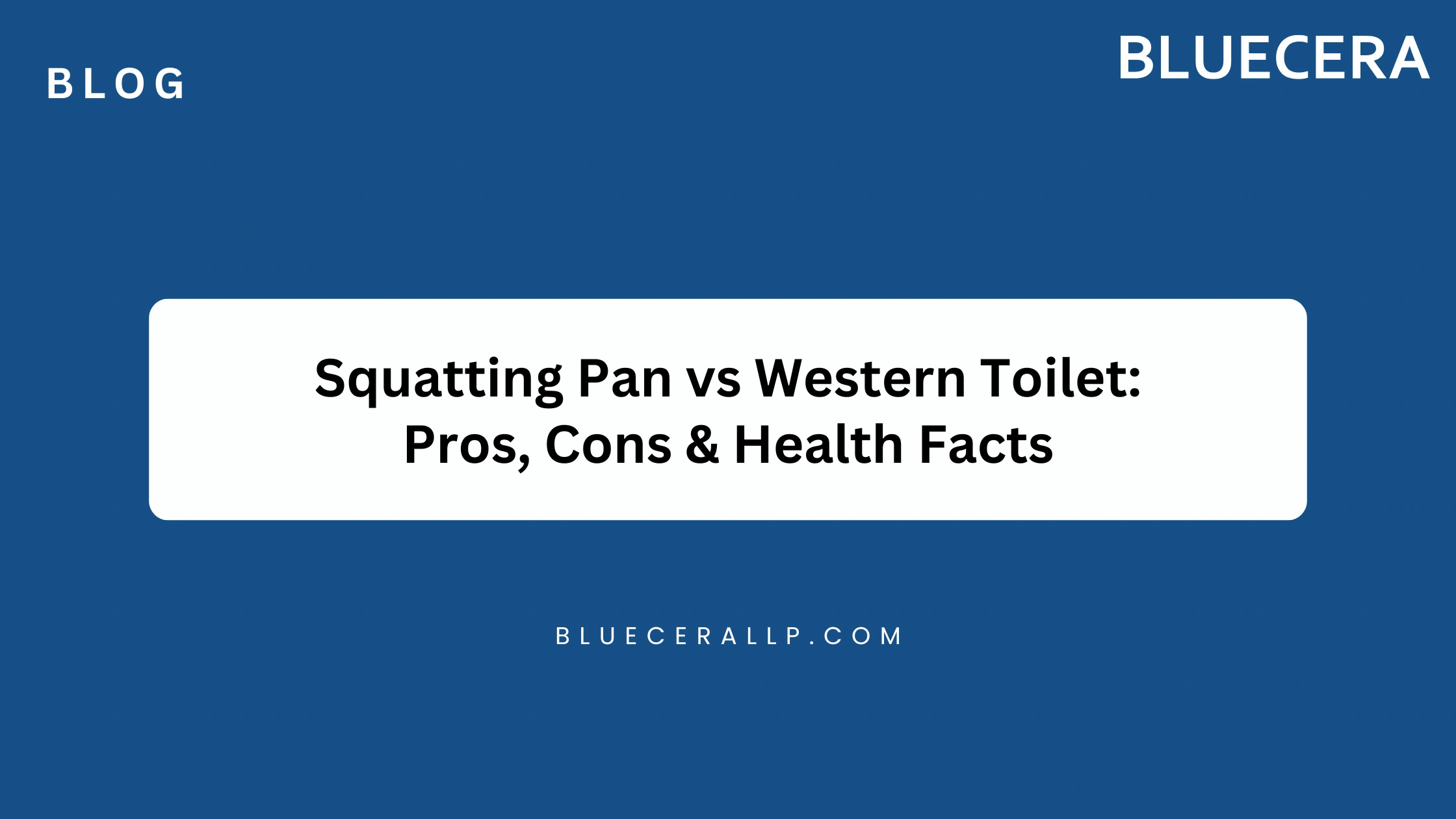 Squatting Pan Vs Western Toilet: Pros, Cons & Health Facts