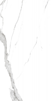 1200-x-2400-mm-porcelain-slab-glossy-statuario-natural-f1